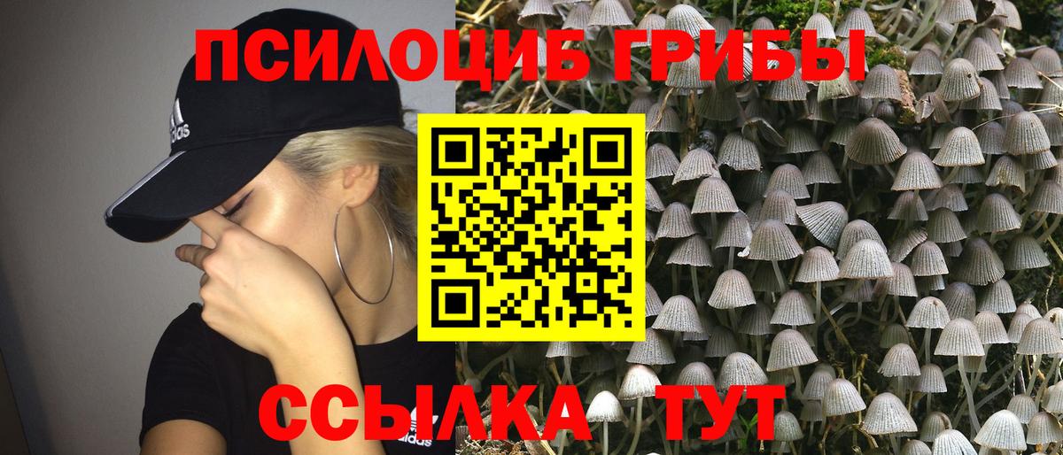 Кириши  Псилоцибиновые грибы ЛСД  Вход с VPN  Псилоцибиновые грибы мицелий 