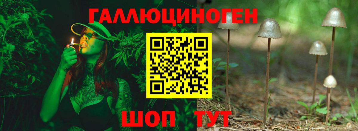 Галлюциногенные грибы GOLDEN TEACHER Кириши